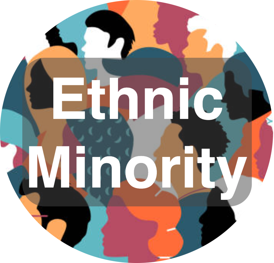 ethnic minority groups criteria